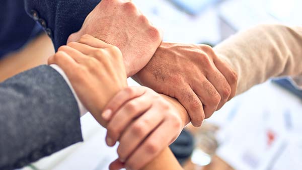 Érstellen einer kostenlosen Webseite für soziale Projekte in der Region Wittenberg Dessau Bitterfeld 2023